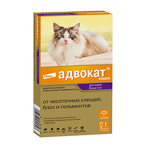 Advocate комбинированное антипаразитарное средство для кошек более 4 кг, 1 пипетка