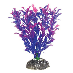 Laguna Растение Людвигия, фиолетовая, 20 см