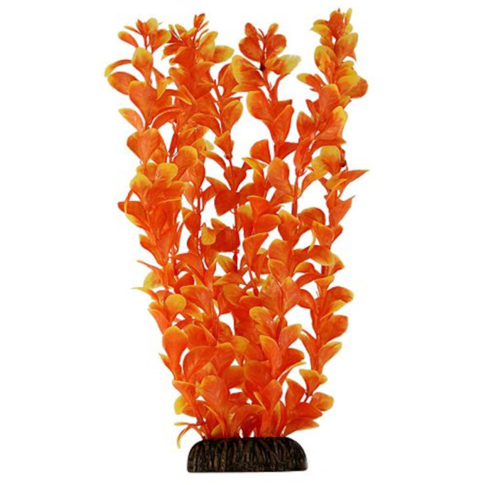 Laguna Растение Людвигия, оранжевая, 10 см<