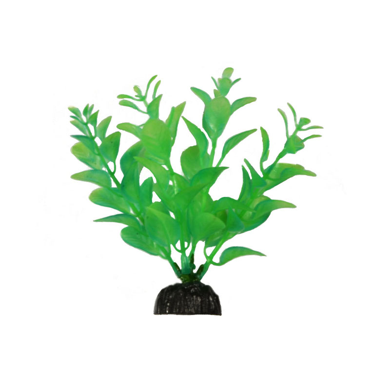 Barbus Plant Dark растение светящееся в темноте, 20 см<
