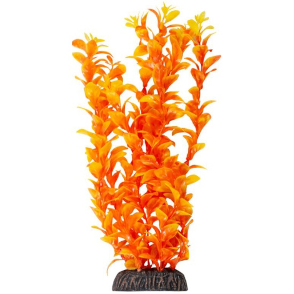 Laguna Растение Людвигия, ярко-оранжевая, 10 см<