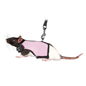Trixie Шлейка-жилетка с поводком для крыс и морских свинок