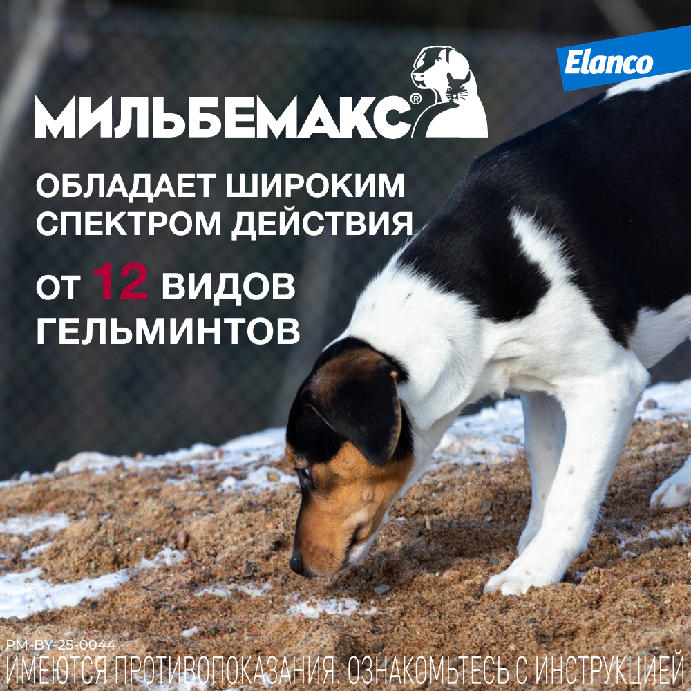 Мильбемакс таблетки антигельминтные для собак 5-25 кг, 2 таблетки