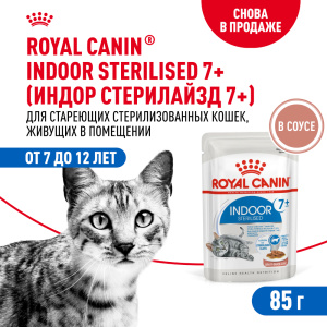 Royal Canin консервированный корм для кошек, живущих в помещении, Индор 7+, в соусе, 85 г