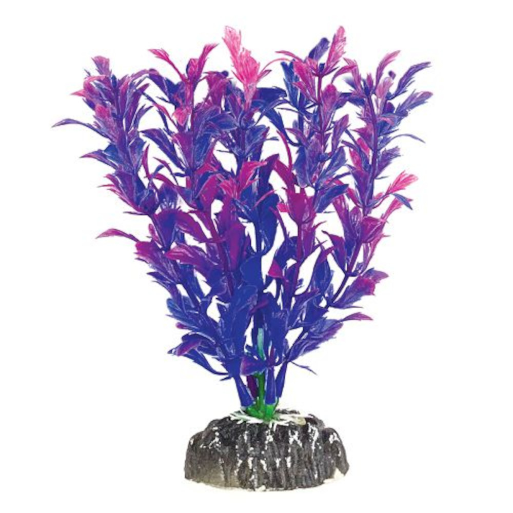 Laguna Растение Людвигия, фиолетовая, 20 см<