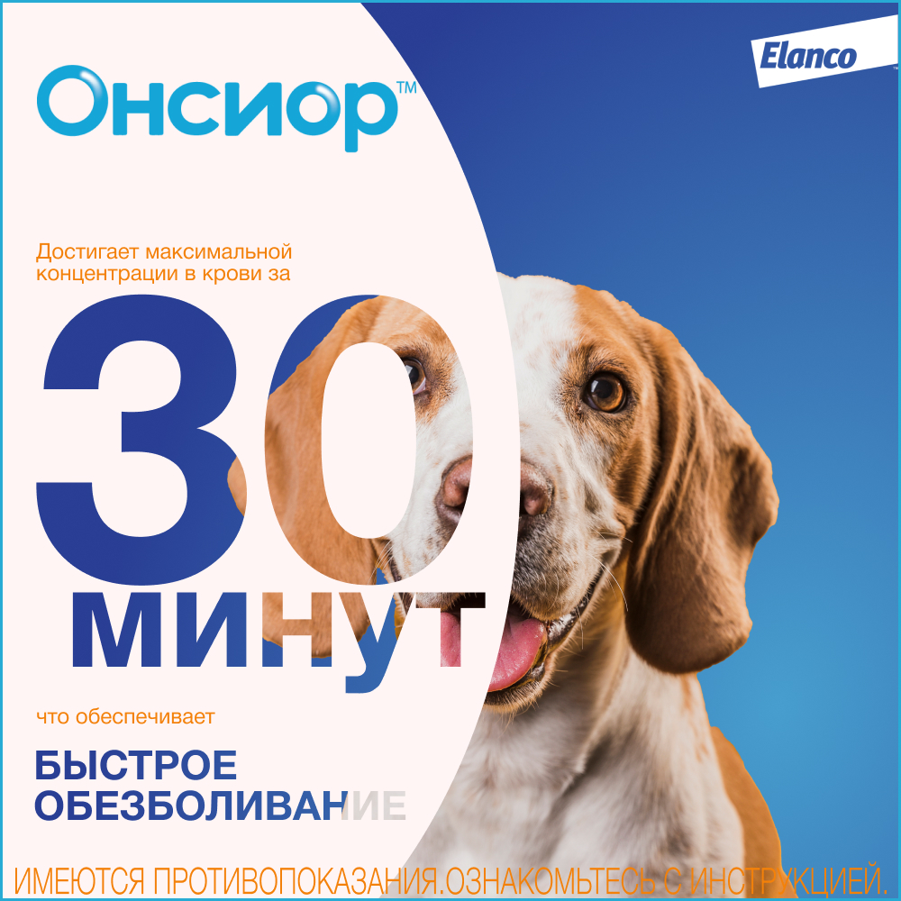 Онсиор противовоспалительный препарат для собак, 1 блистер, 40 мг
