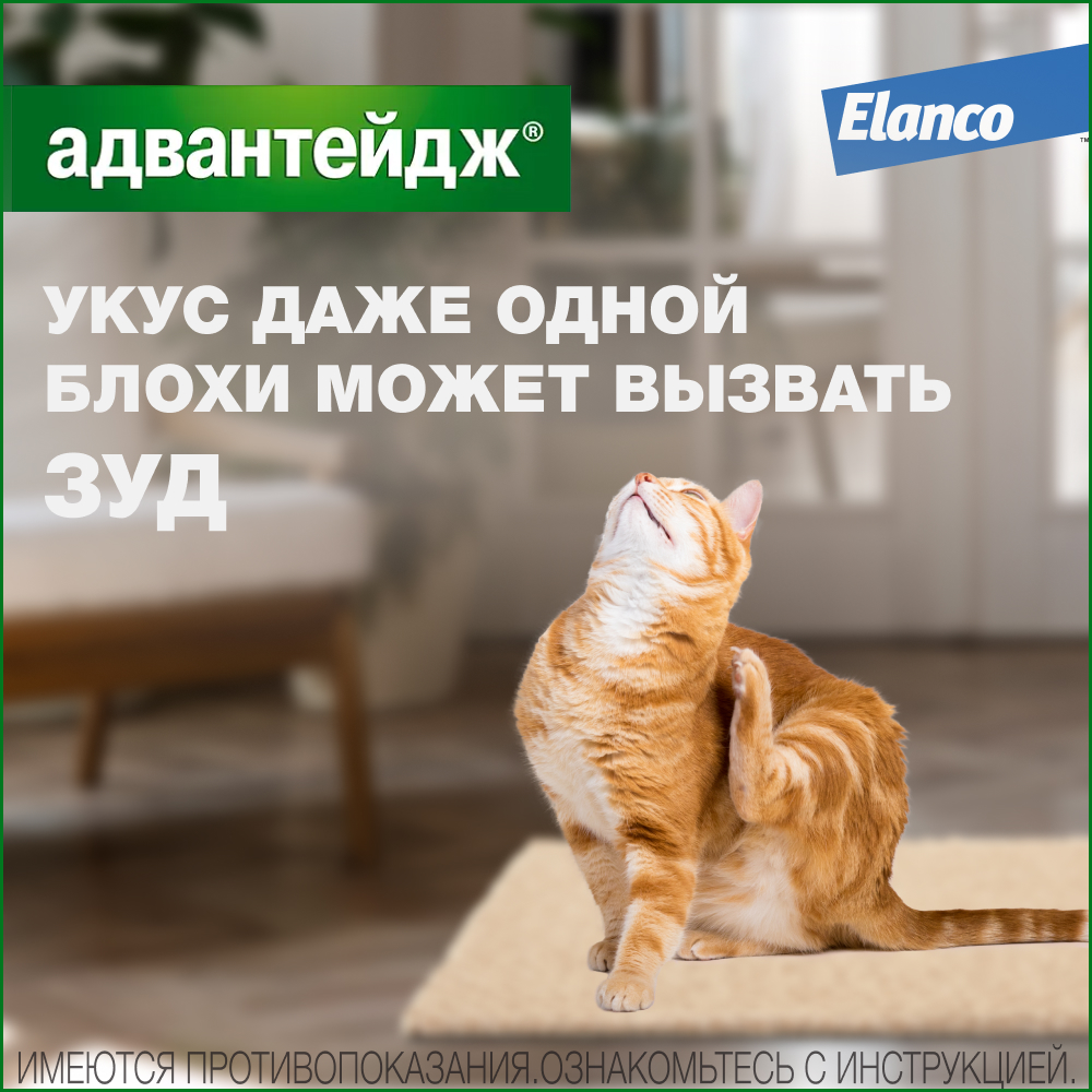 Advantage 40 капли инсектицидные для кошек до 4 кг, 4 пипетки