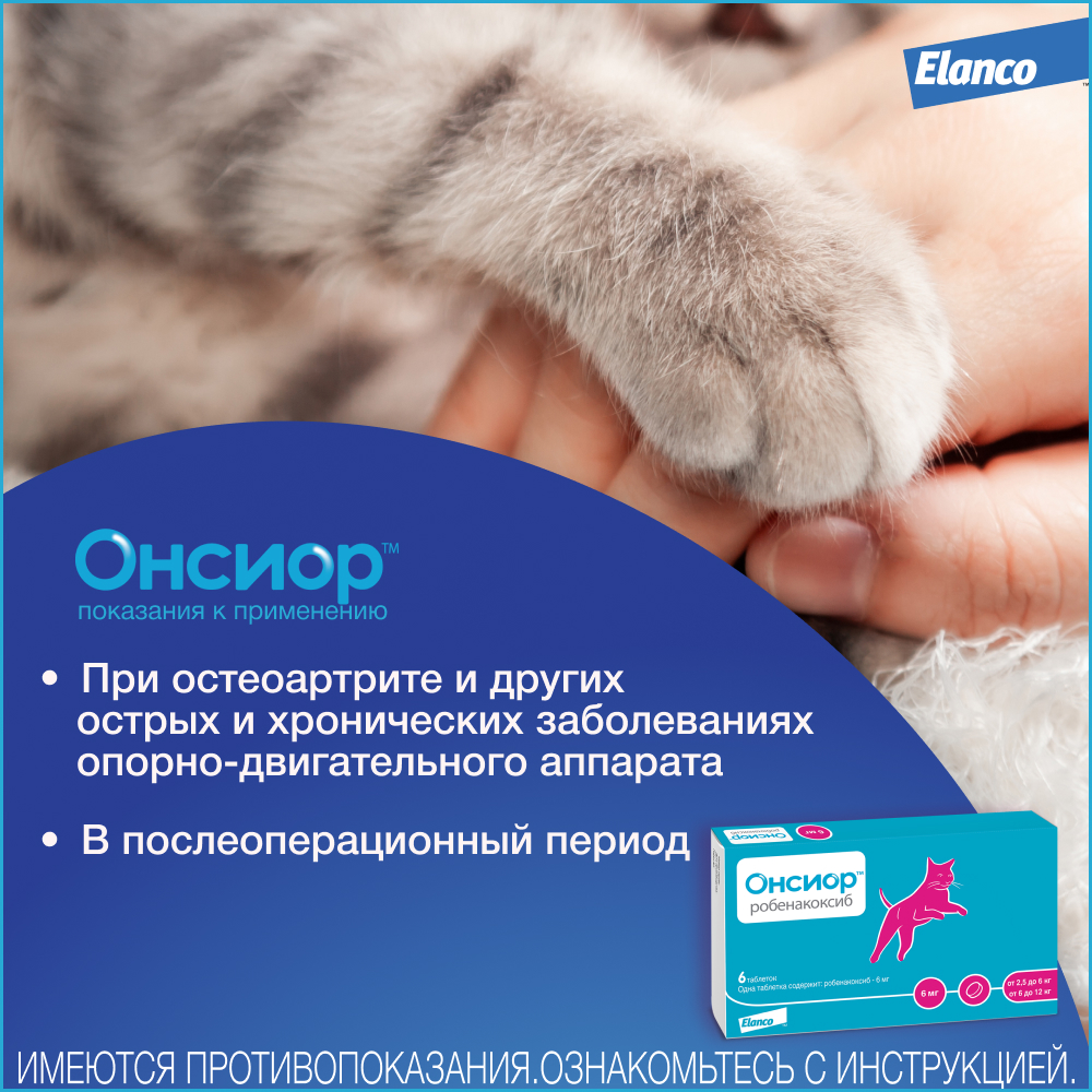Онсиор противовоспалительный препарат для кошек, 6 мг, 1 таблетка
