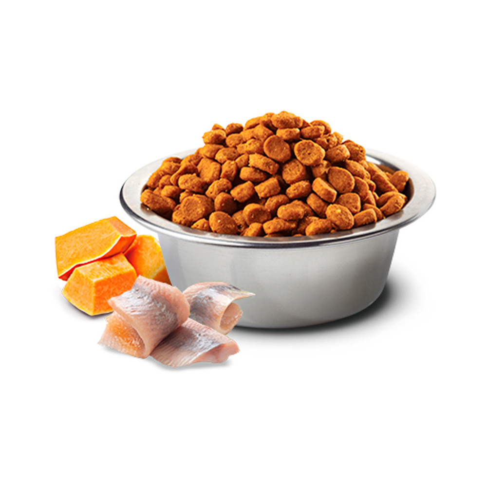 Farmina N&D Ocean сухой корм для взрослых собак мелких пород, треска c апельcином и тыквой, Adult Mini Cod, Pumpkin&Orange, 800 г