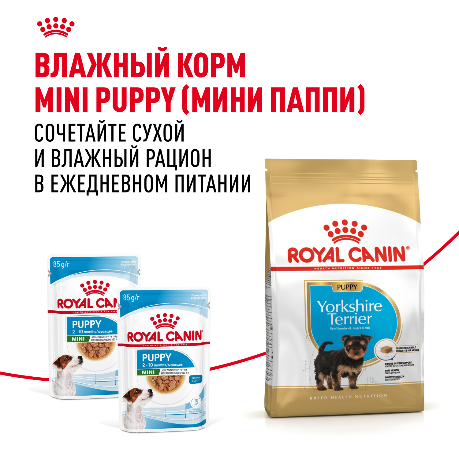 Royal Canin сухой корм для щенков породы породы Йоркширский Терьер до 10 месяцев, Yorkshire Terrier Puppy, 500 г