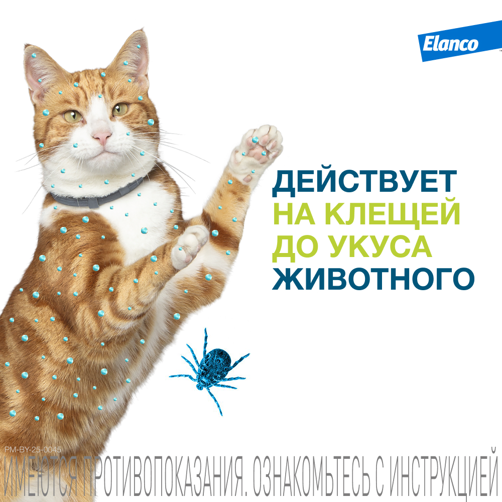 Foresto ошейник инсектоакарицидный для кошек, 38 см