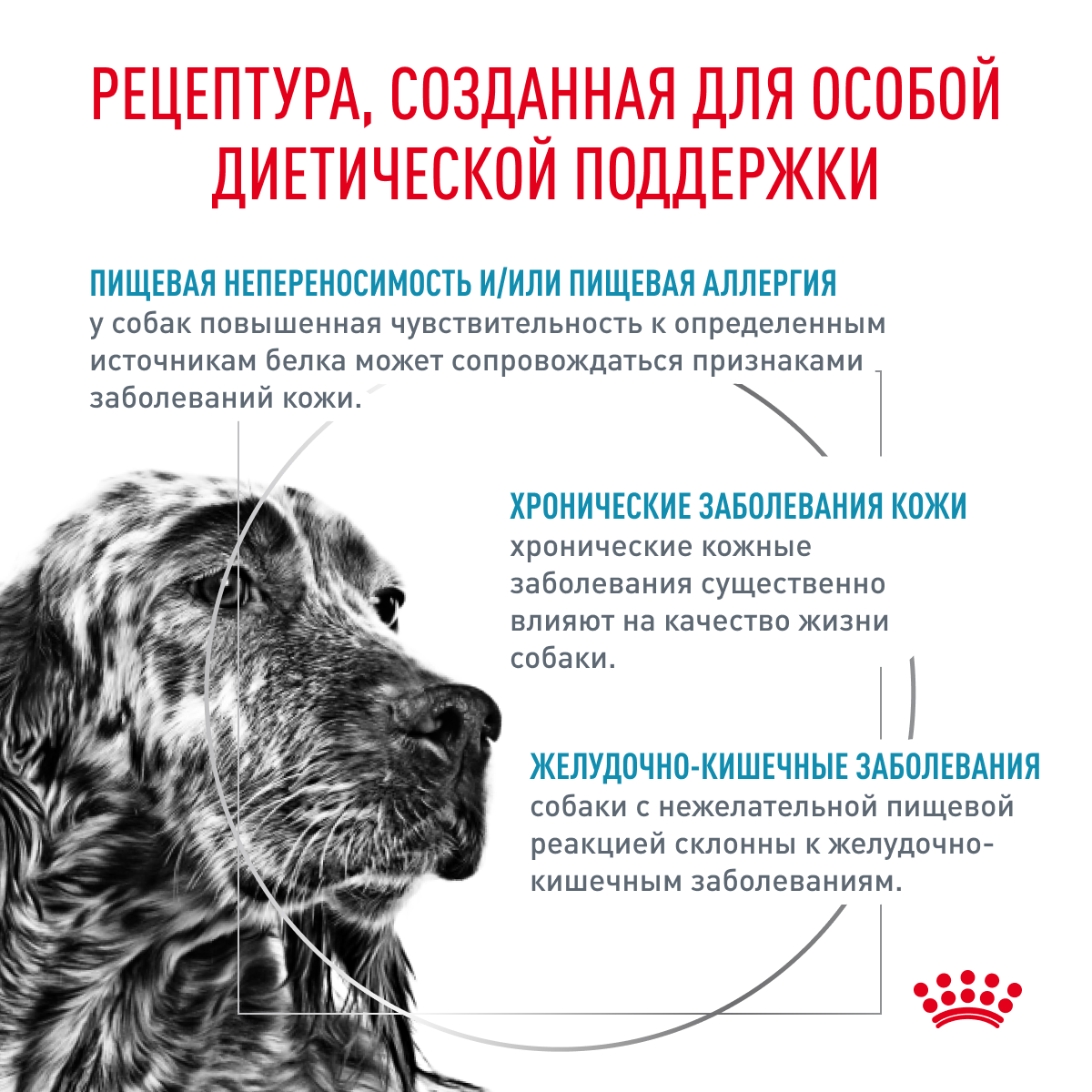 Royal Canin Корм сухой для взрослых собак при пищевой аллергии, SENSITIVITY CONTROL (СЕНСИТИВИТИ КОНТРОЛ), 1,5 кг