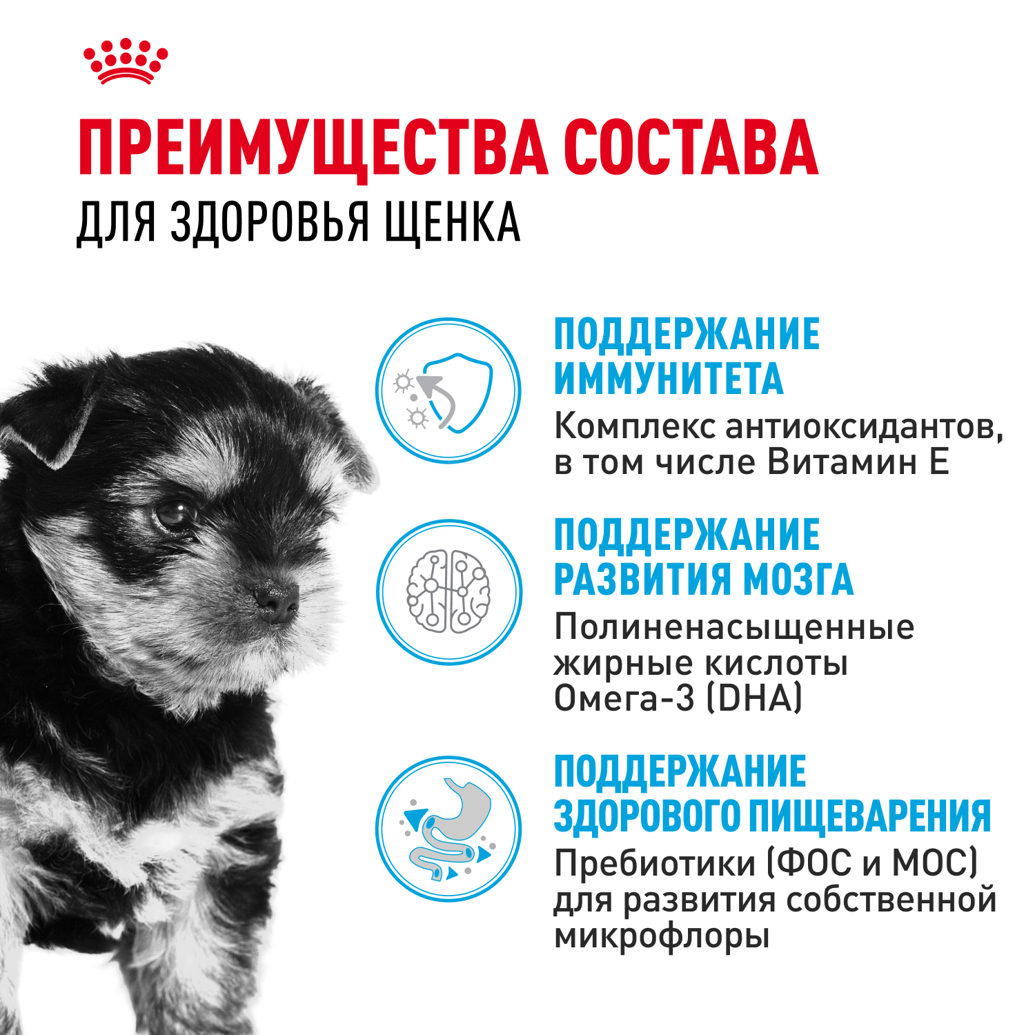 Royal Canin сухой корм для щенков породы породы Йоркширский Терьер до 10 месяцев, Yorkshire Terrier Puppy, 500 г
