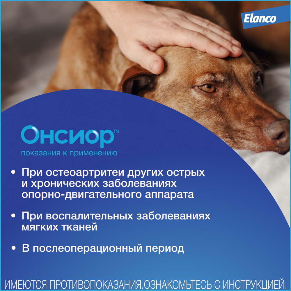 Онсиор противовоспалительный препарат для собак, 1 блистер, 40 мг
