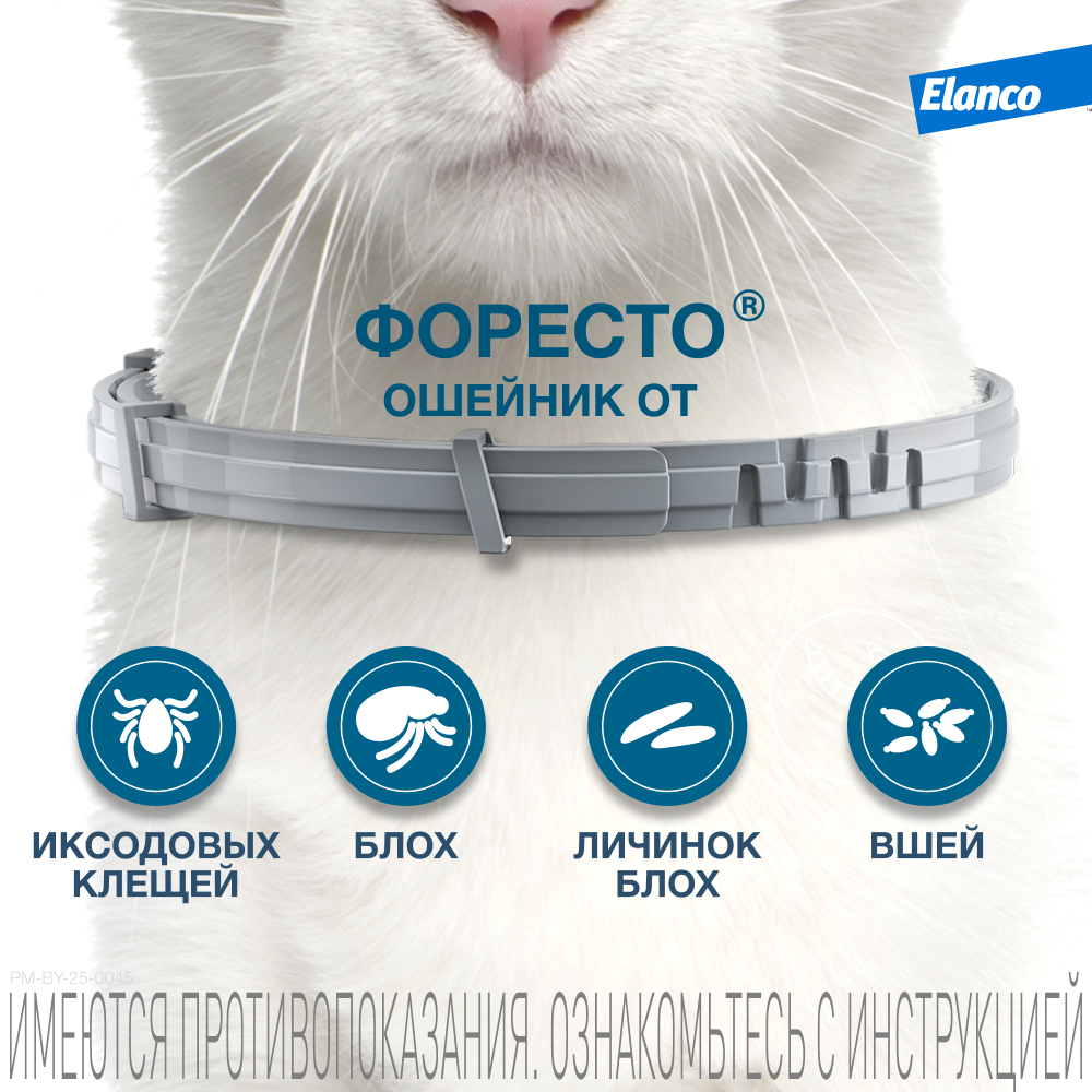 Foresto ошейник инсектоакарицидный для кошек, 38 см