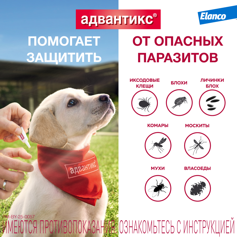 Адвантикс 40 капли инсектоакарицидные для собак до 4 кг 1 уп. (1 пип)