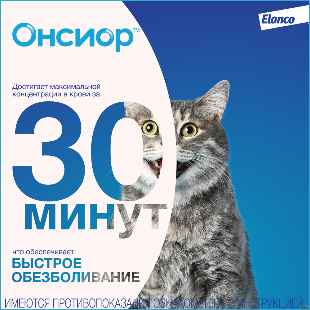 Онсиор противовоспалительный препарат для кошек, 6 мг, 1 таблетка