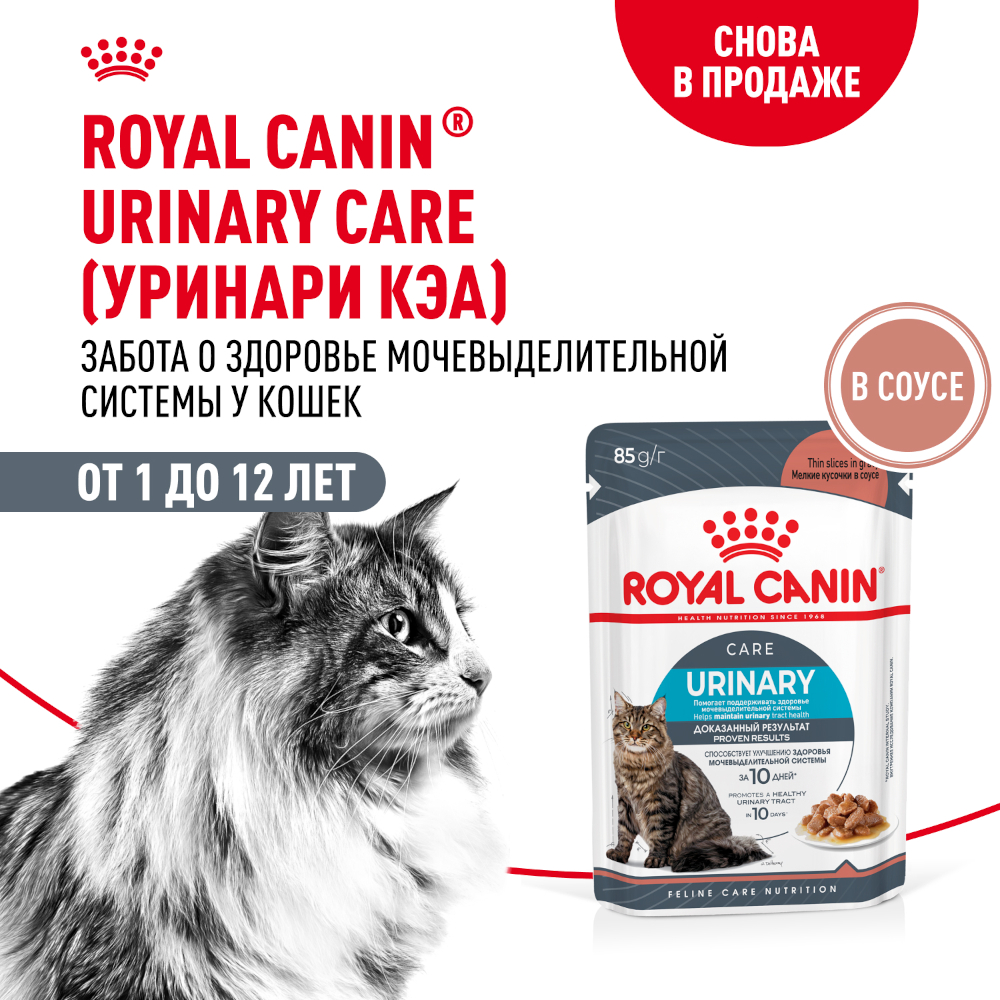 Royal Canin консервированный корм  для взрослых кошек, URINARY CARE, соус, 85 г<