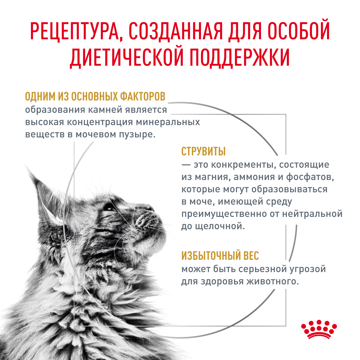 Royal Canin Корм сухой для взрослых кошек, склонных к набору веса, при мочекаменной болезни, URINARY S/O MODERATE CALORIE (УРИНАРИ С/О МОДЕРЕЙТ КЭЛОРИ), 350 г