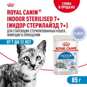 Royal Canin консервированный корм для кошек, живущих в помещении, Индор 7+, в желе, 85 г