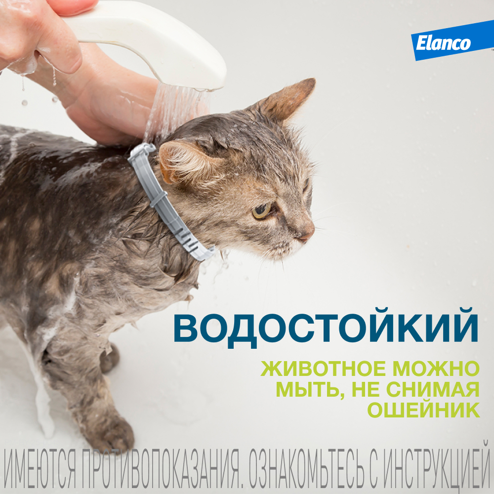 Foresto ошейник инсектоакарицидный для кошек, 38 см