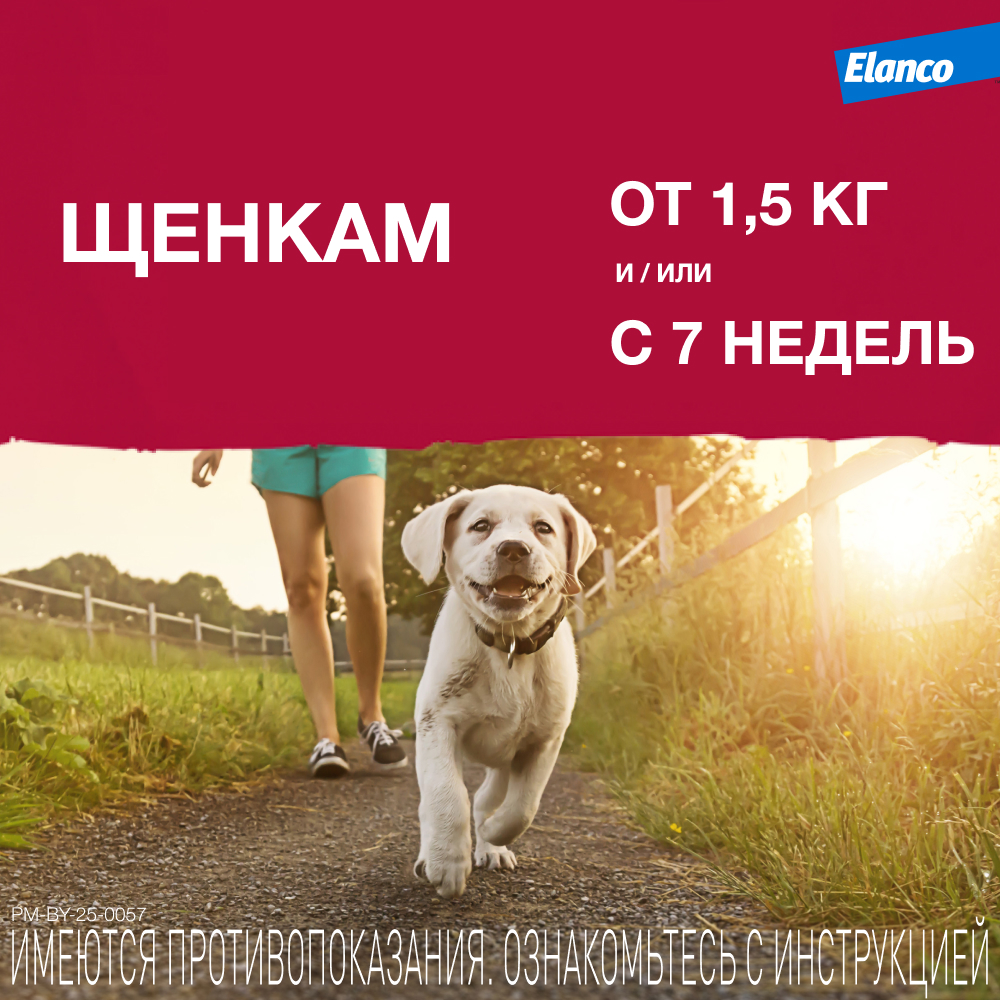 Адвантикс 40 капли инсектоакарицидные для собак до 4 кг 1 уп. (1 пип)