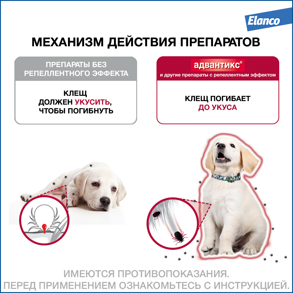 Адвантикс 250 капли инсектоакарицидные для собак 10-25 кг 1 уп. (1 пип)