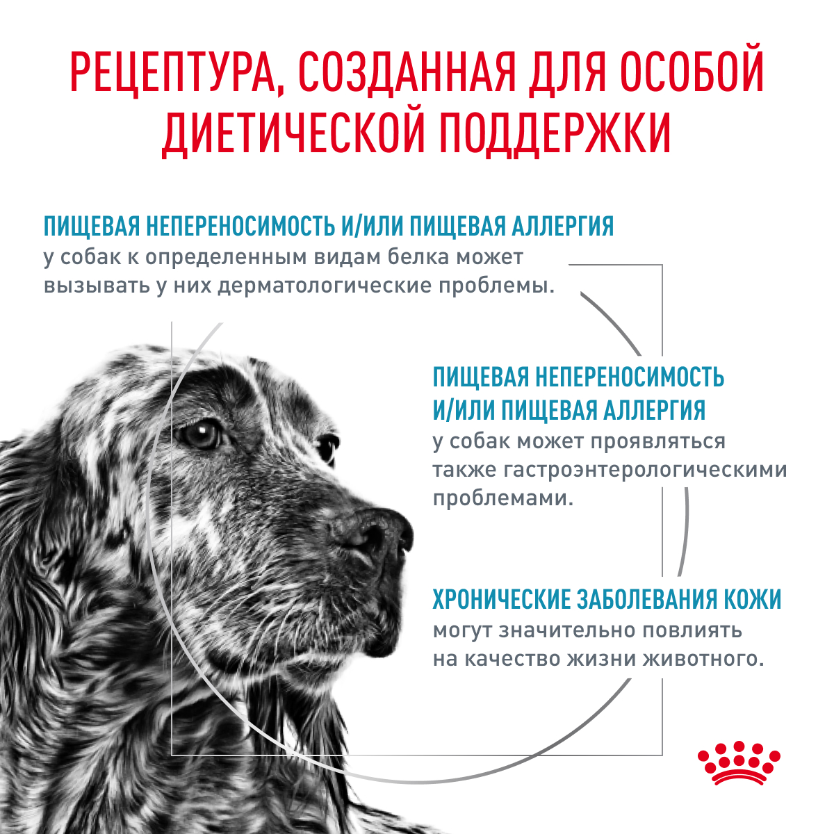 Royal Canin Корм сухой для взрослых собак при пищевой аллергии, HYPOALLERGENIC (ГИПОАЛЛЕРДЖЕНИК), 1,5 кг
