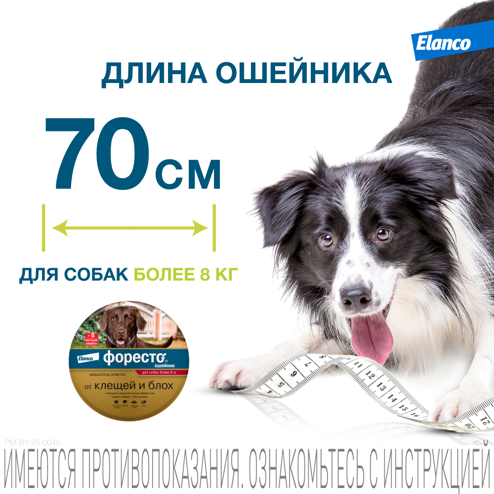 Foresto ошейник инсектоакарицидный для собак крупных пород, 70 см
