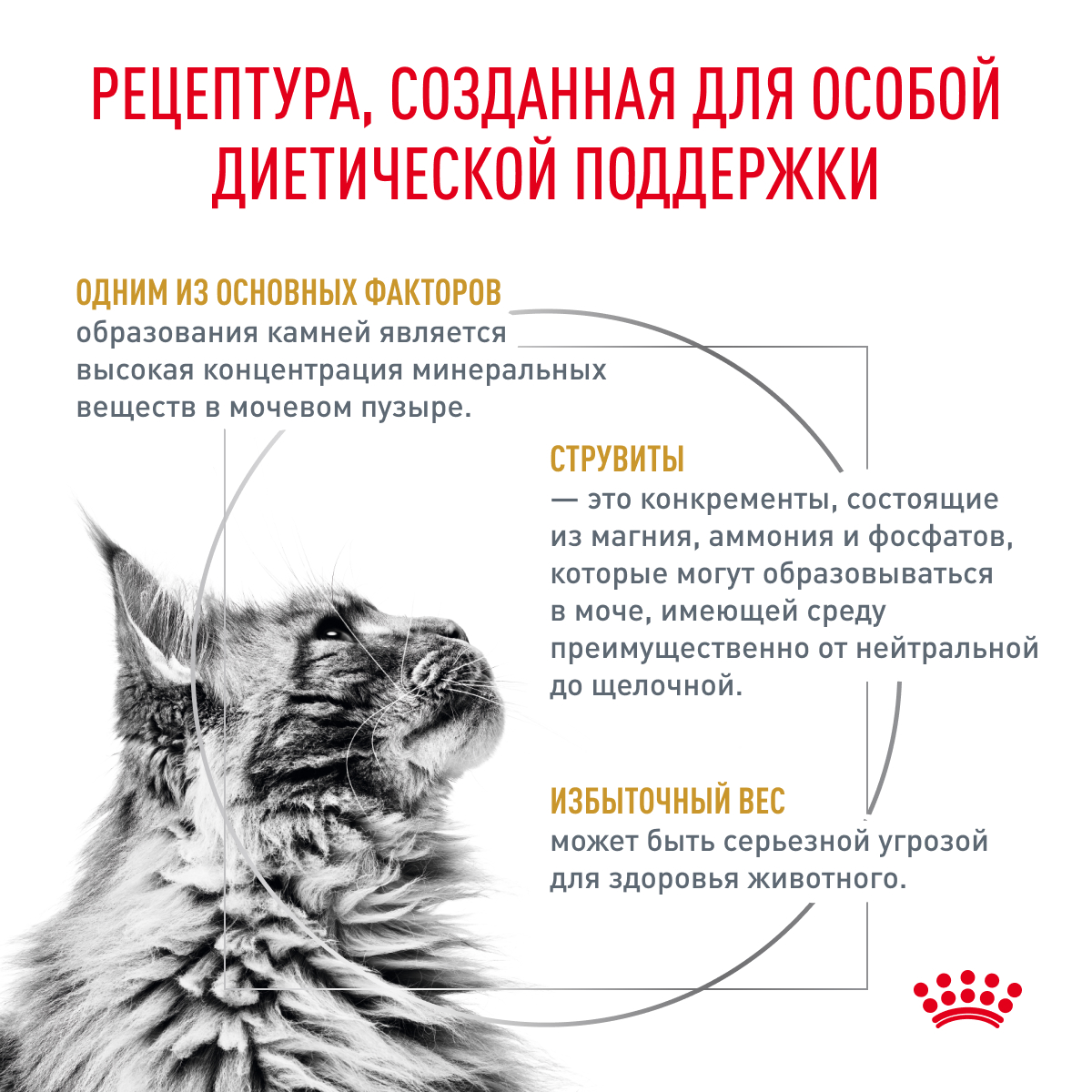 Royal Canin Корм влажный для кошек, склонных к набору веса, при мочекаменной болезни, URINARY S/O MODERATE CALORIE, 85 г