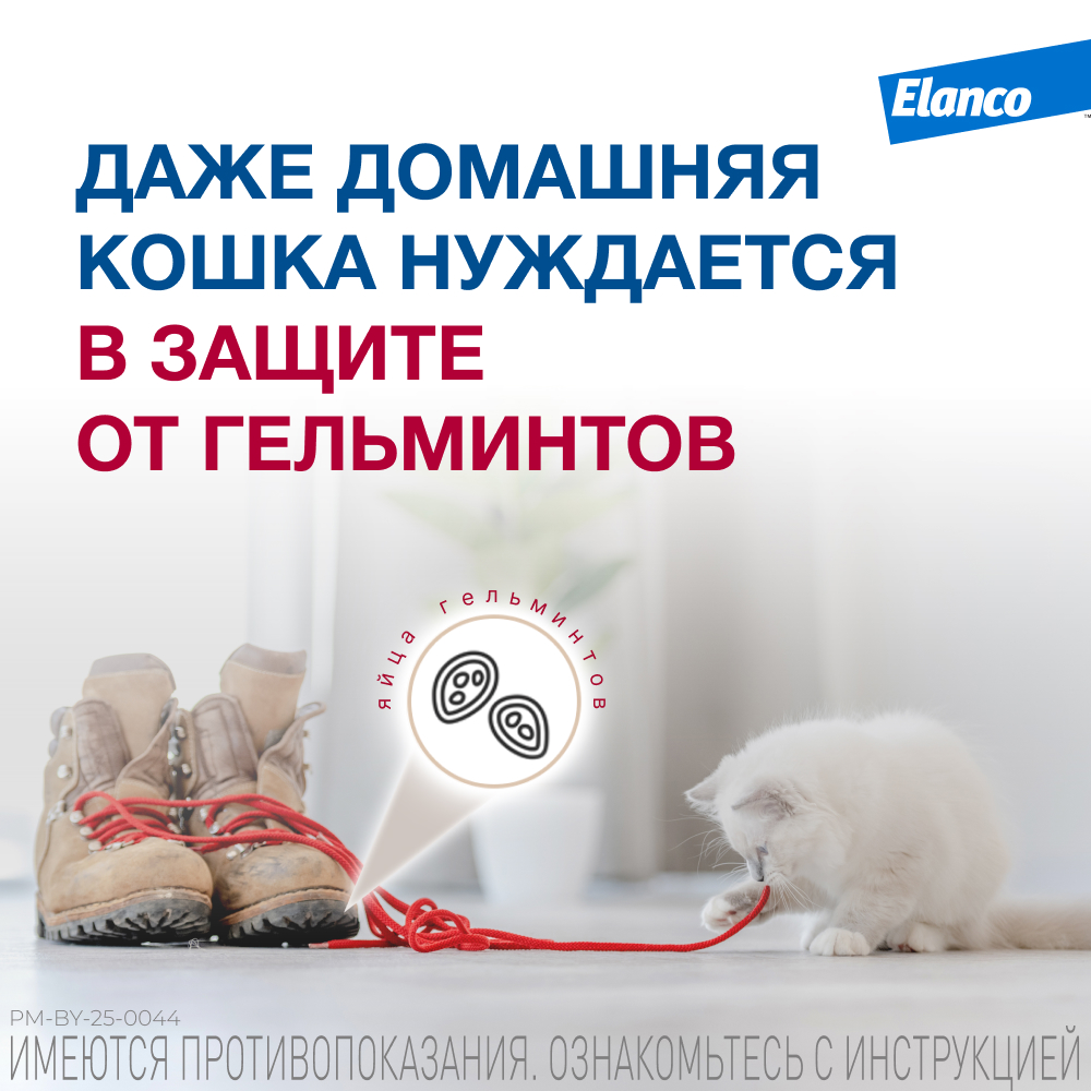 Мильбемакс таблетки антигельминтные для кошек 4-8 кг, 2 таблетка