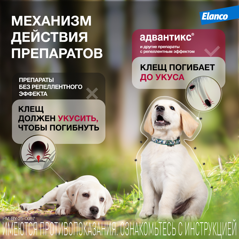 Адвантикс 40 капли инсектоакарицидные для собак до 4 кг 1 уп. (1 пип)