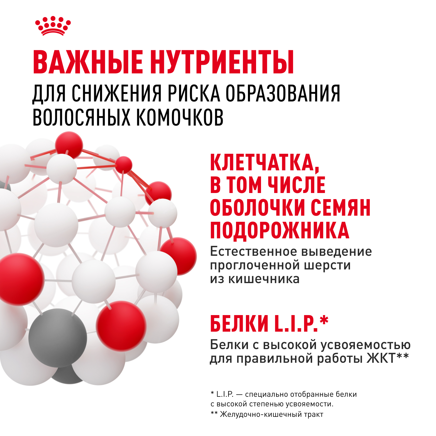 Royal Canin консервированный корм для взрослых кошек, в соусе, HAIRBALL CARE, 85 г