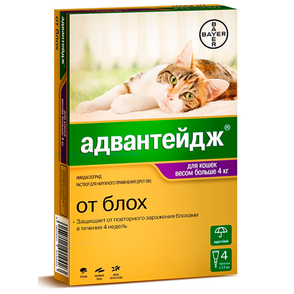 Advantage 80 капли инсектицидные для кошек от 4 кг, 1 пипетка<