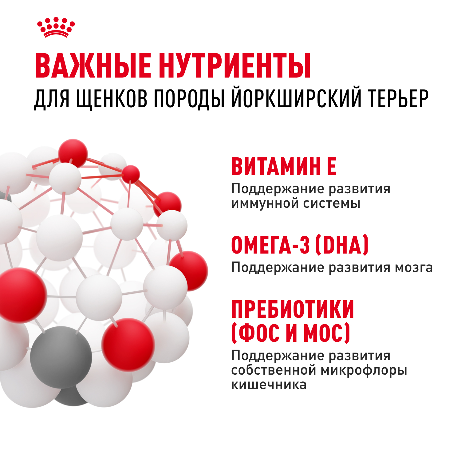 Royal Canin сухой корм для щенков породы породы Йоркширский Терьер до 10 месяцев, Yorkshire Terrier Puppy, 500 г