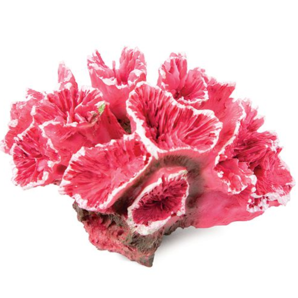 Laguna Коралл искусственный "Кауластрея" розовая, 7х5х4.5 см<