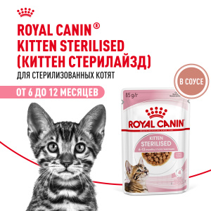 Royal Canin консервированный корм для стерилизованных котят, в соусе, Kitten Sterilised, 85 г