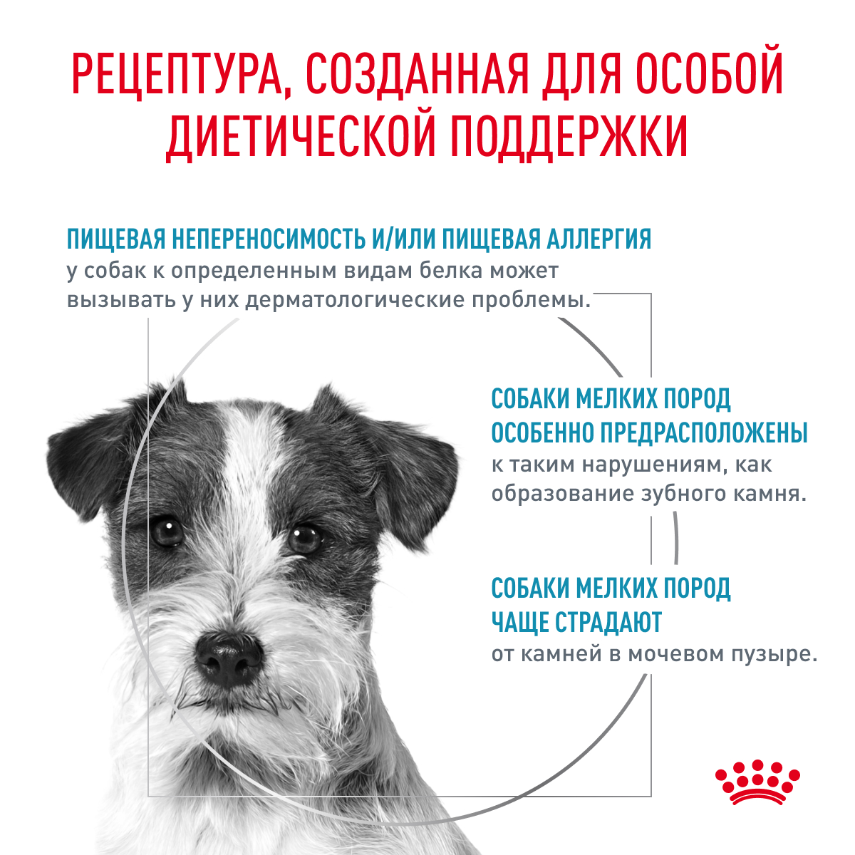 Royal Canin Корм сухой для взрослых собак мелких пород при пищевой аллергии, HYPOALLERGENIC SMALL DOGS, 3,5 кг