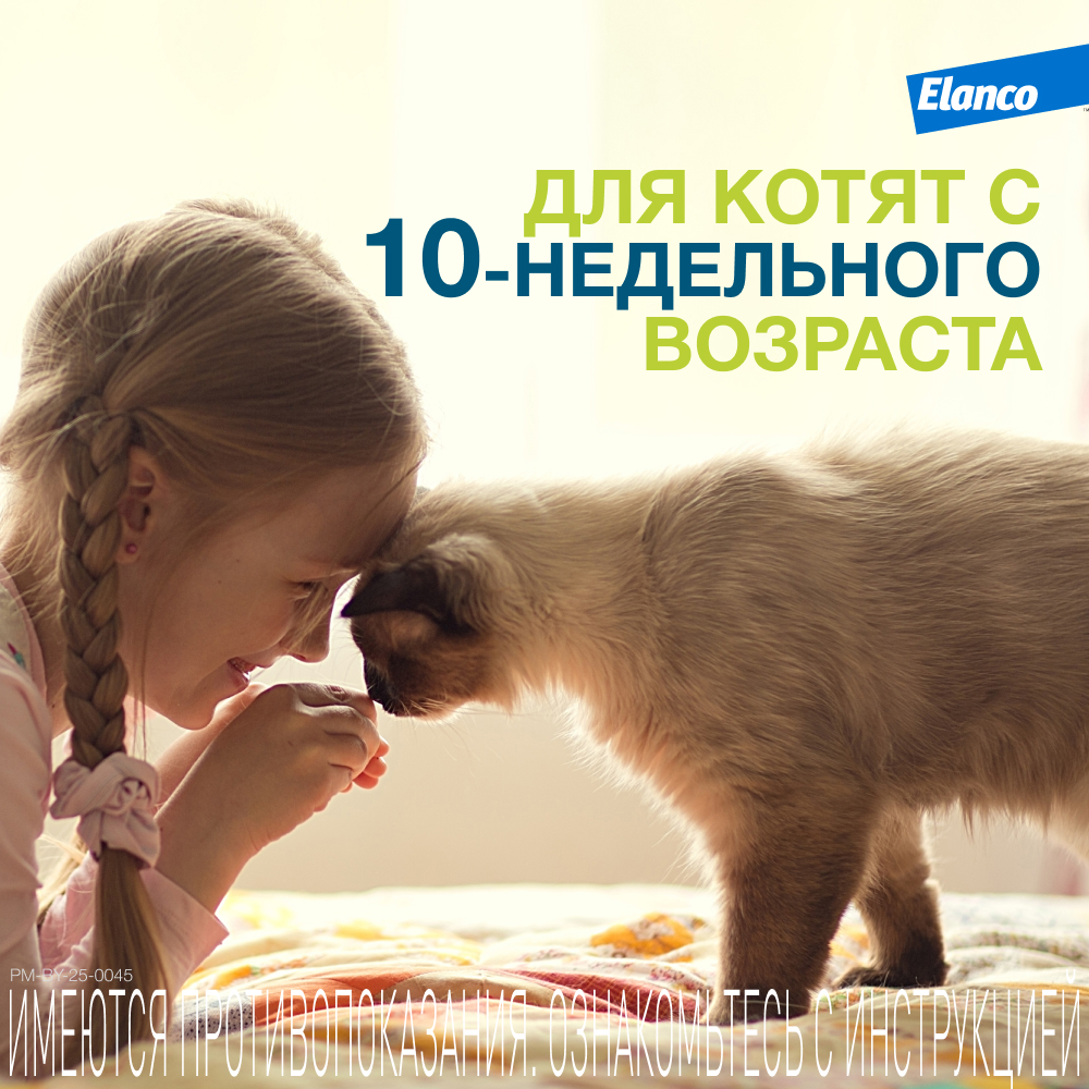 Foresto ошейник инсектоакарицидный для кошек, 38 см