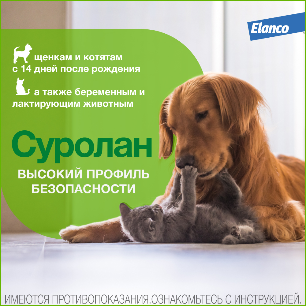Суролан ушные капли, 30 мл