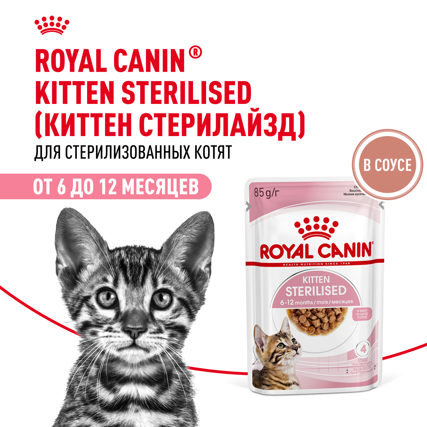 Royal Canin консервированный корм для стерилизованных котят, в соусе, Kitten Sterilised, 85 г<