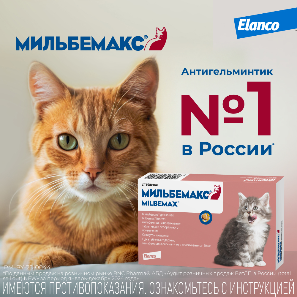Мильбемакс таблетки антигельминтные для котят и молодых кошек 1-2 кг, 2 таблетки