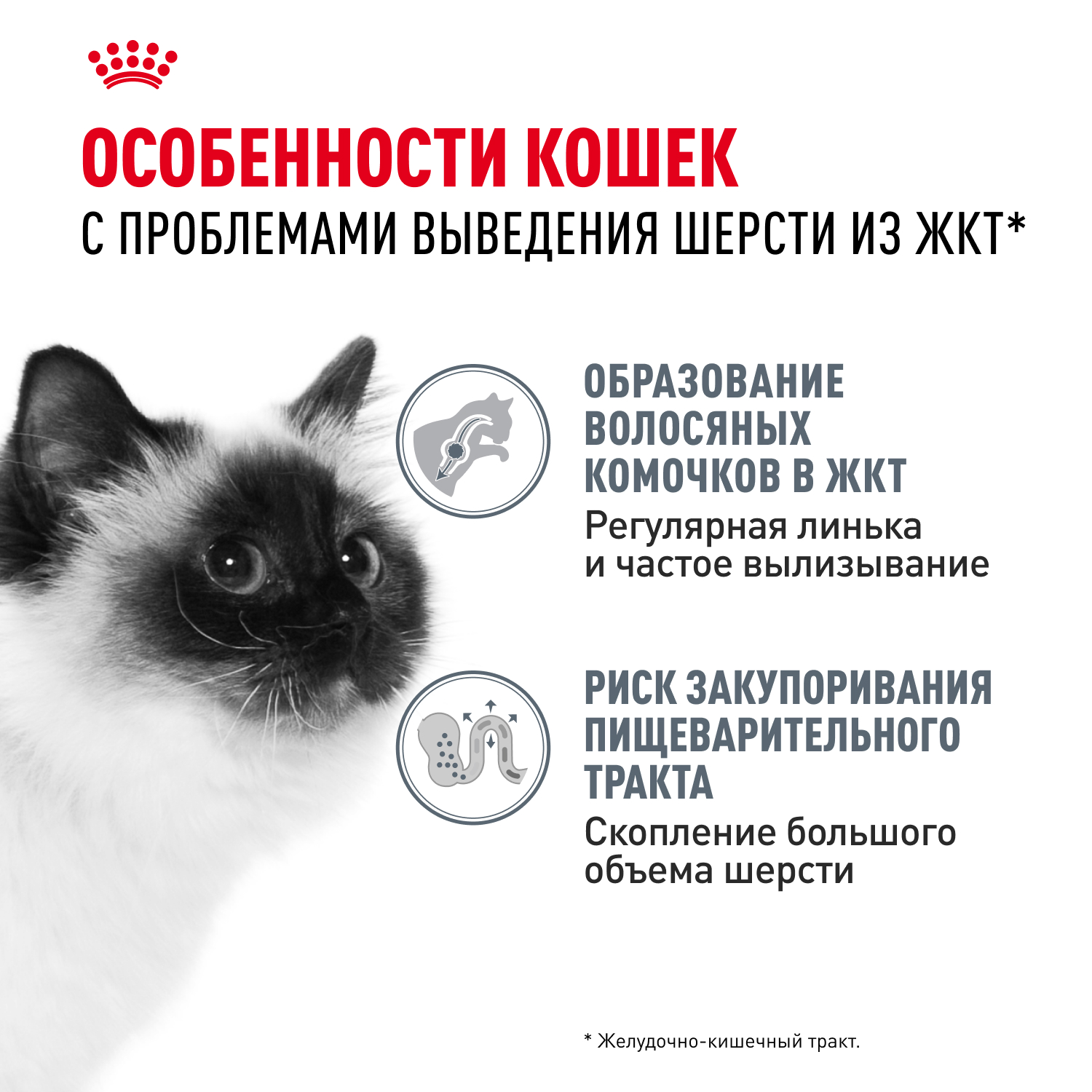 Royal Canin консервированный корм для взрослых кошек, в соусе, HAIRBALL CARE, 85 г