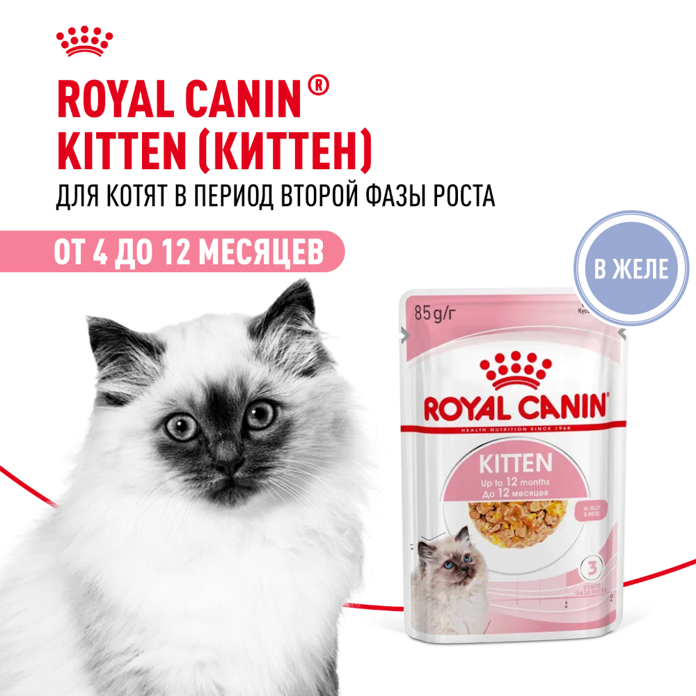 Royal Canin консервированный корм для котят, Киттен Инстинктив в желе, пауч, 85 г<
