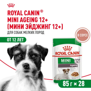 Royal Canin консервы для собак мини пород старше 12 лет, Мини Эйджинг 12+, кусочки в соусе, 85 г