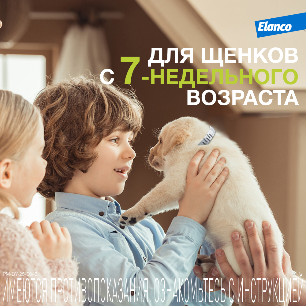 Foresto ошейник инсектоакарицидный для собак крупных пород, 70 см