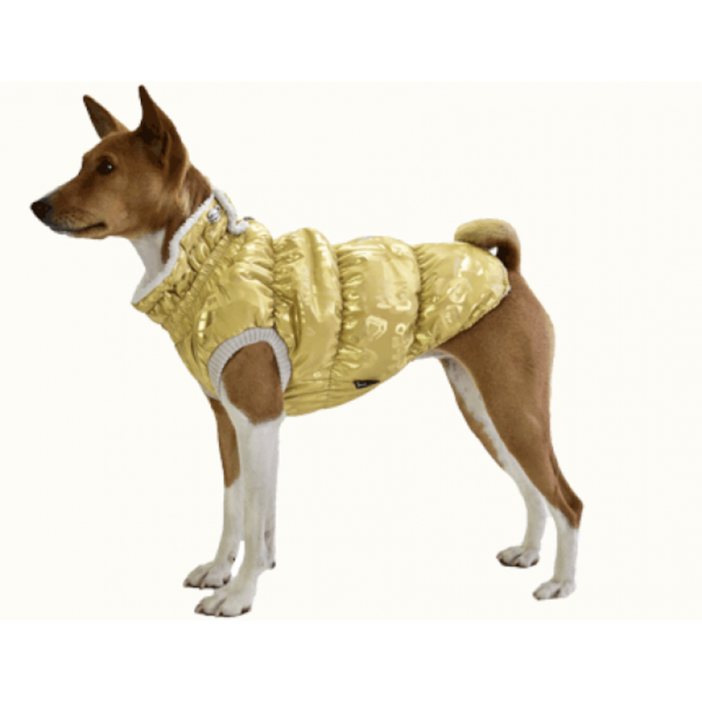 JackyDog МП жилет Премиум с высоким воротником на меху №16 33 см<