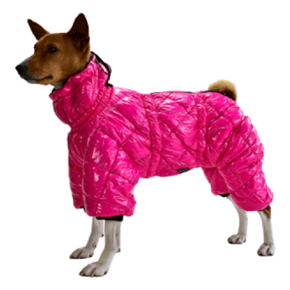 JackyDog МП комбинезон Супер Премиум с высоким воротником на флисе и синтепоне №14 25 см девочка<