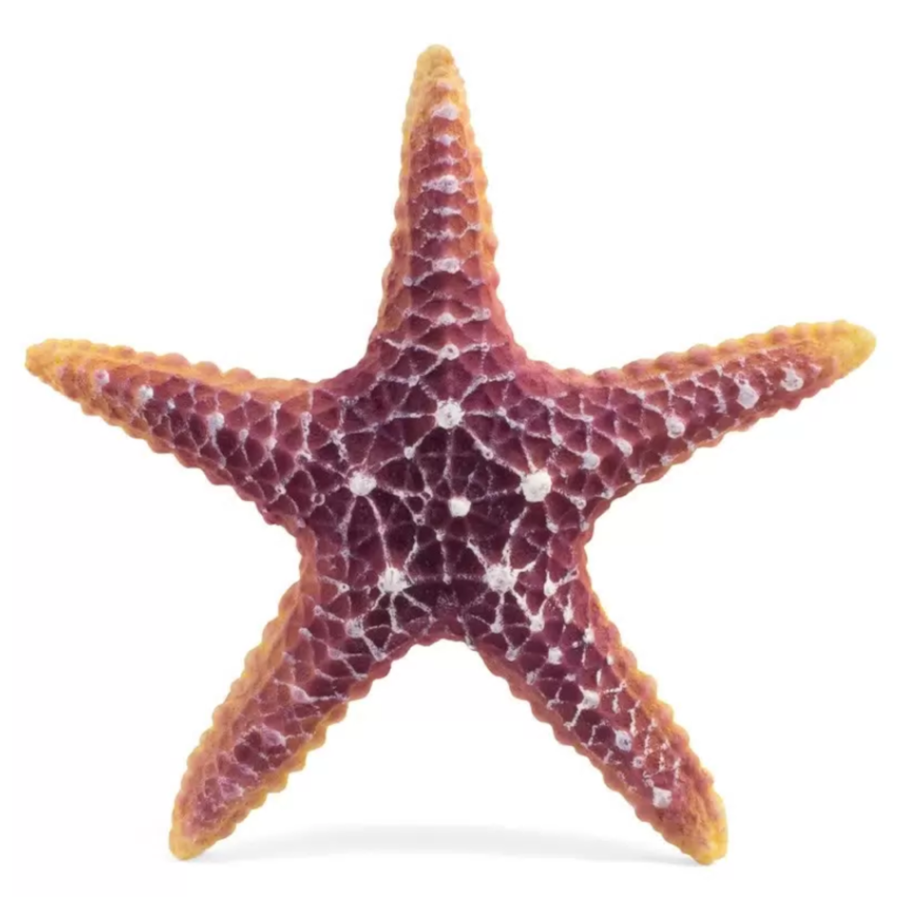 Laguna Грот "Морская звезда", 16х16х3 см<