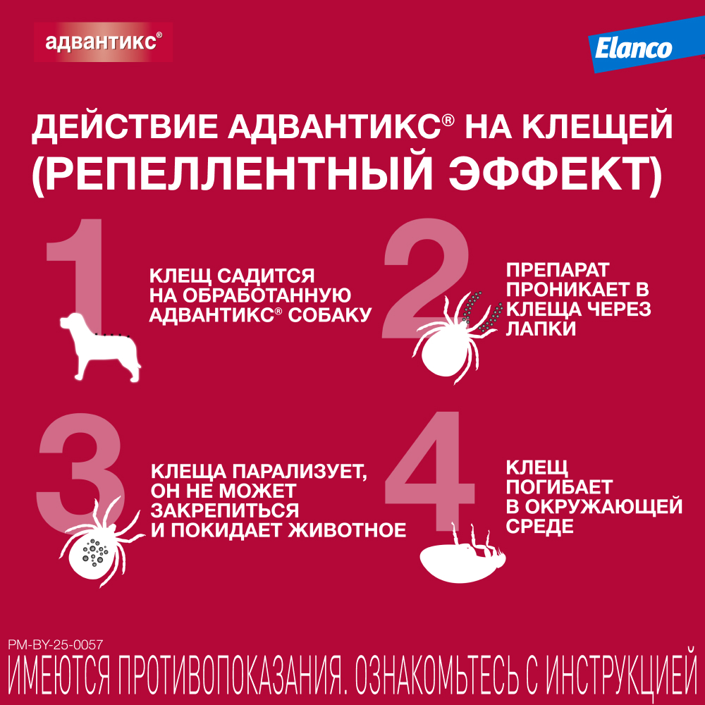 Адвантикс 40 капли инсектоакарицидные для собак до 4 кг 1 уп. (1 пип)